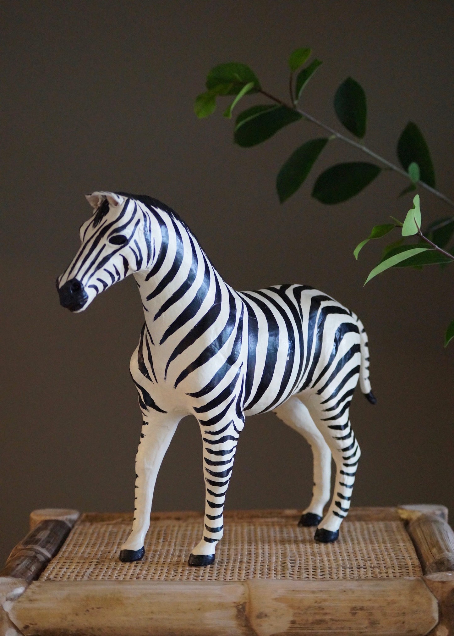 The Zebra