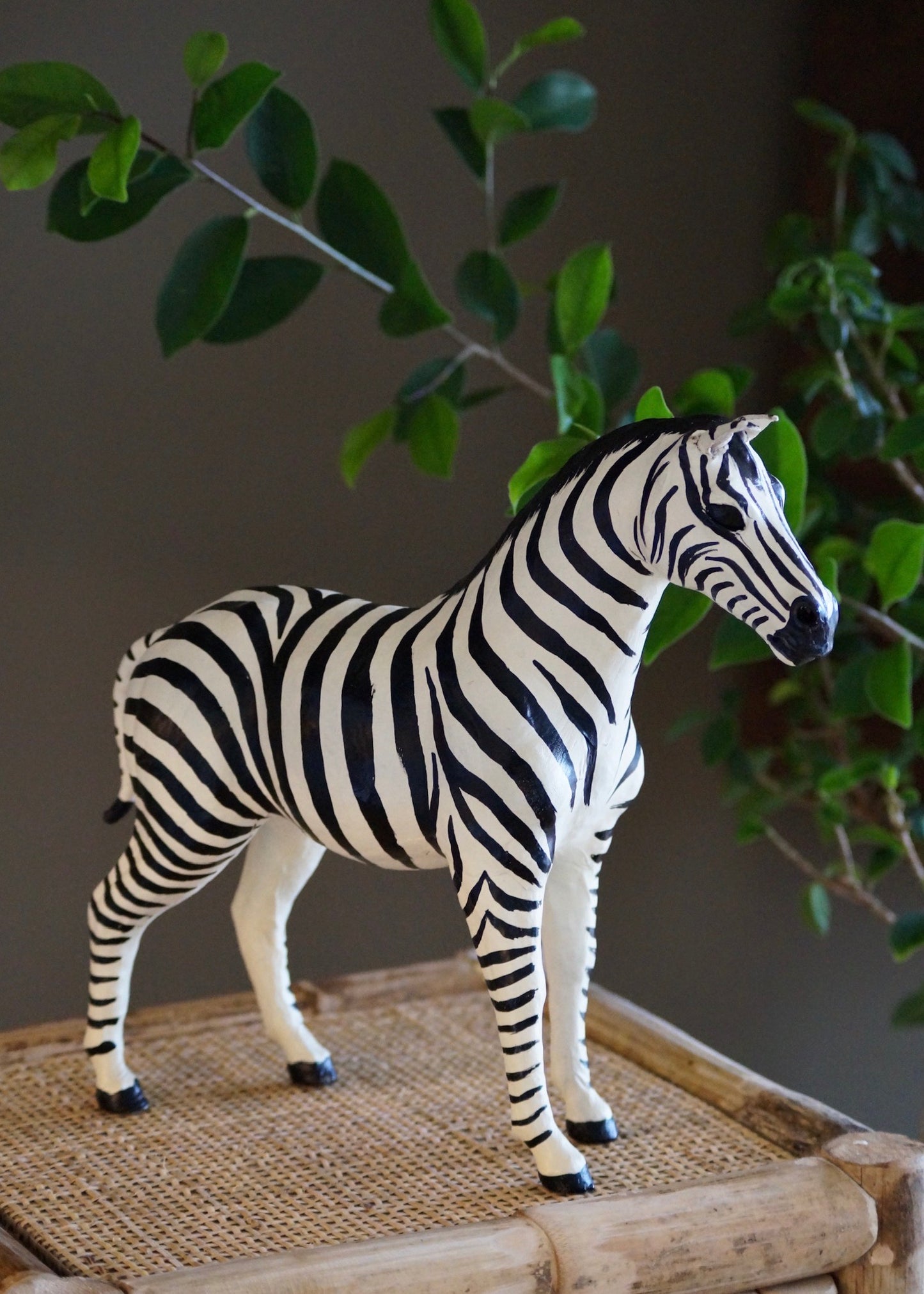 The Zebra