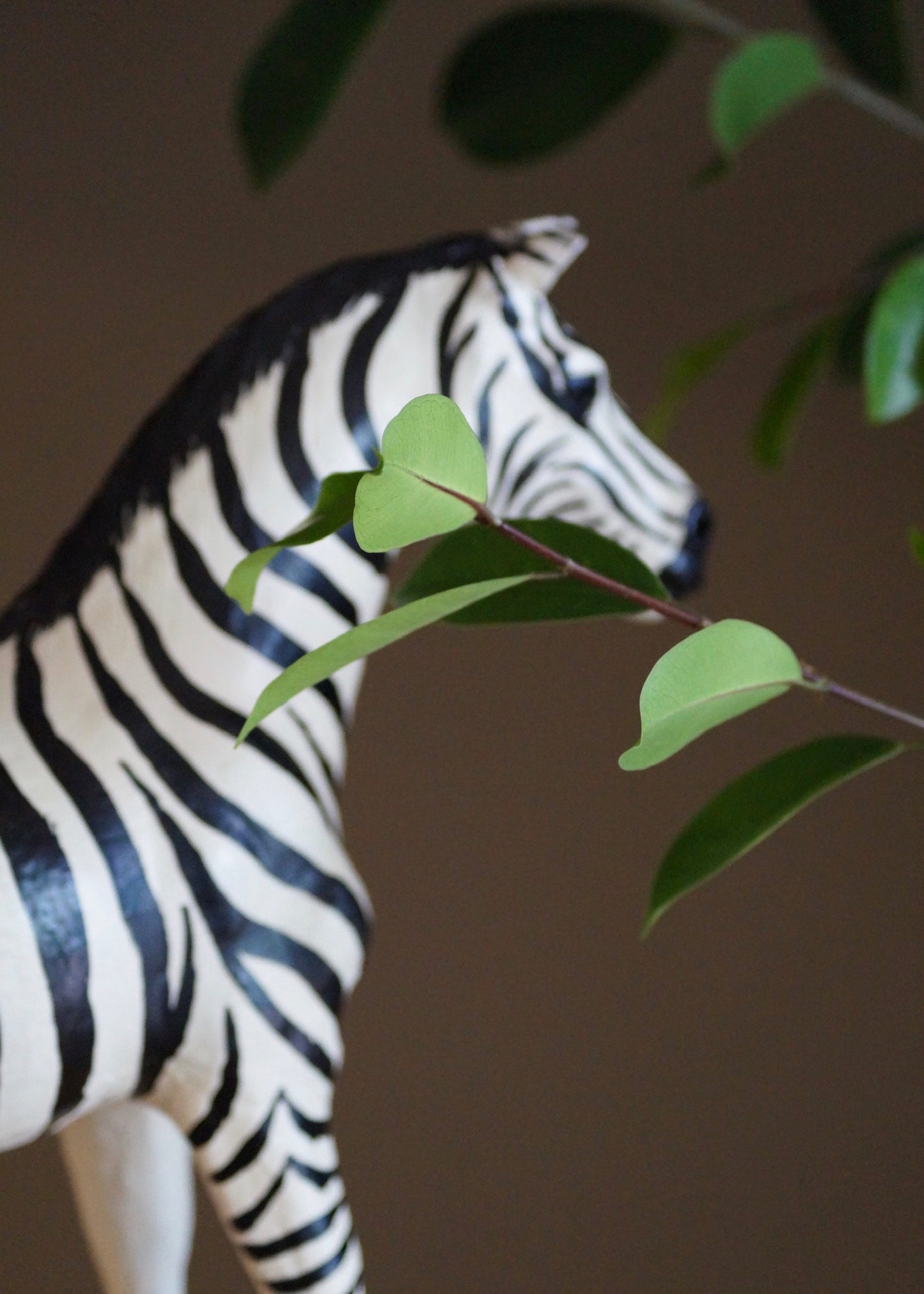 The Zebra