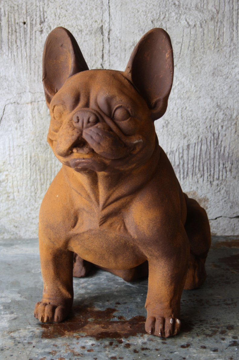 Fransk bulldog